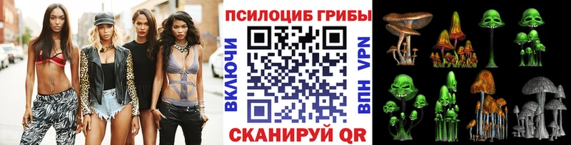 Псилоцибиновые грибы Psilocybe  Весьегонск 