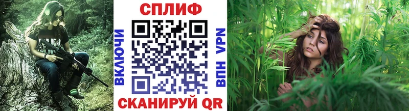 купить   OMG как войти  Шишки марихуана SATIVA & INDICA  Весьегонск 